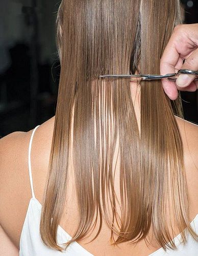 Does Frequently Cutting Your Hair Really Make It Grow Quicker?